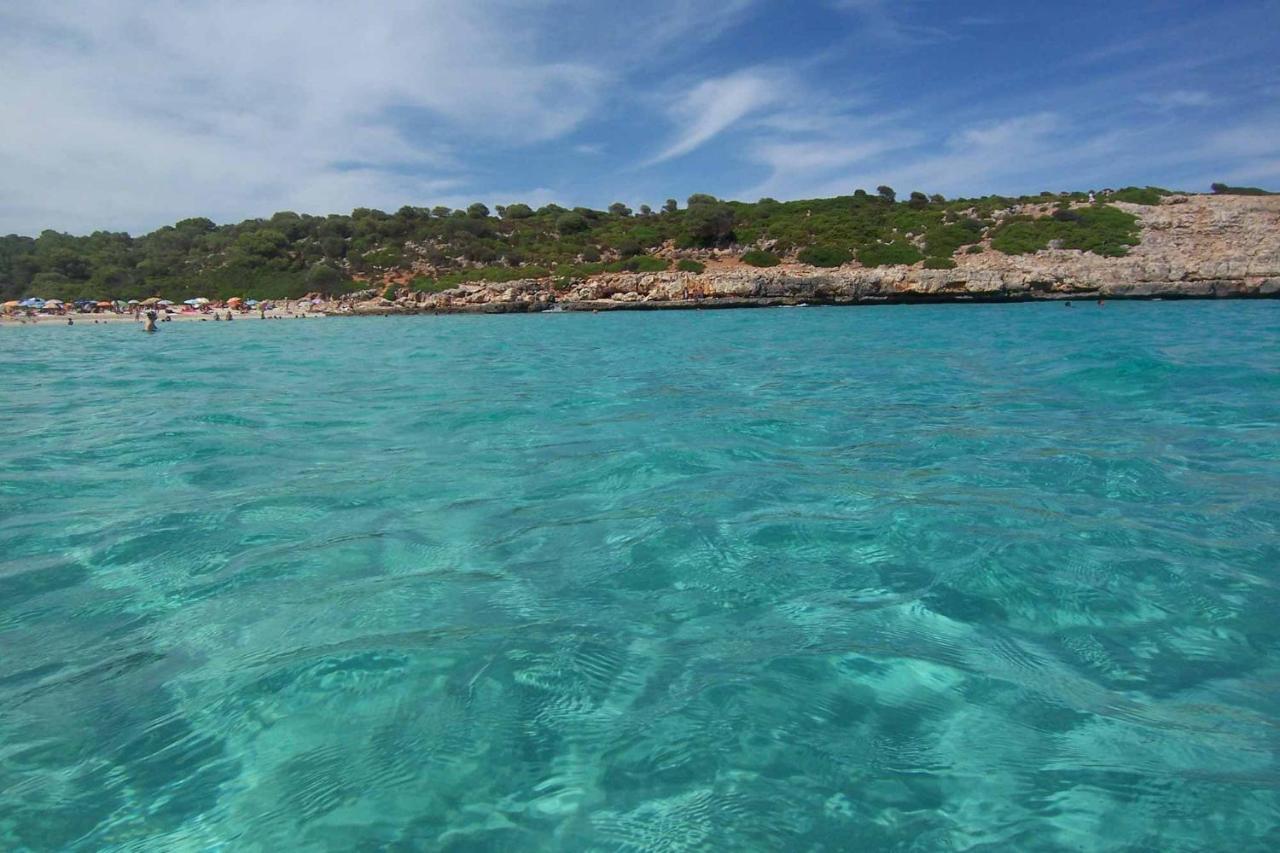 Finca Santigor كالا فيريرا المظهر الخارجي الصورة